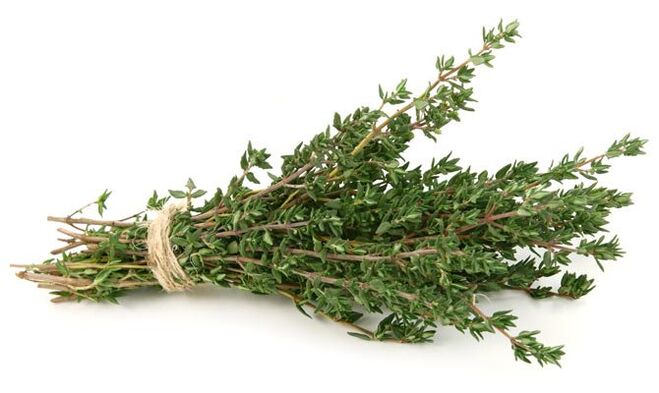 kakukkfű a pénisz bővítésére